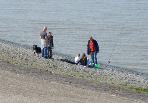 99 Zuiderseedammen e