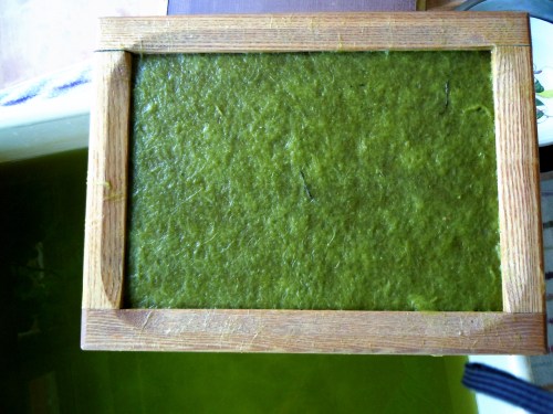 Vasspapper massan uppfångad kr