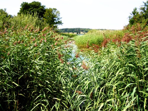 Vattenvägen in i Edssjön kr
