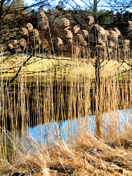 Väsbyån kr söderut b