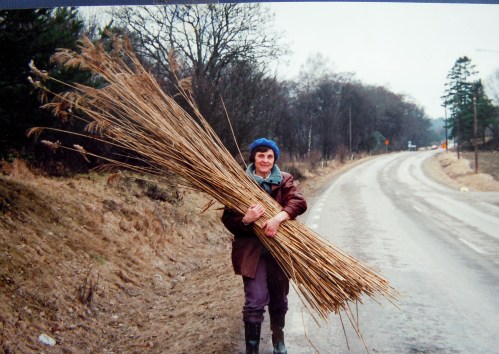 Vintervass från Edssjön