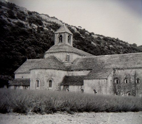 P Abbaye de Senanque kr