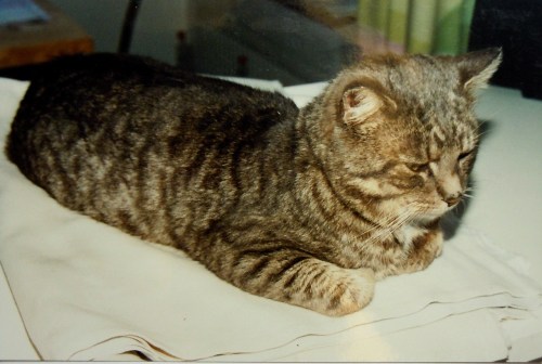 Stosse e kr hemma igen