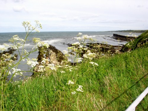 2007 St Andrews c kr