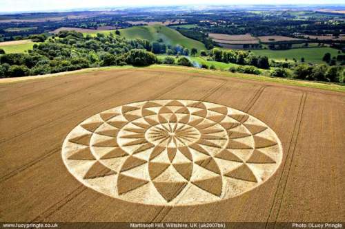 Lucy Pringles Crop Circle