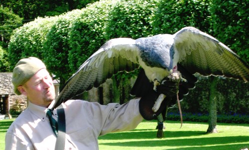 2007 Dunrobin Castle i kr