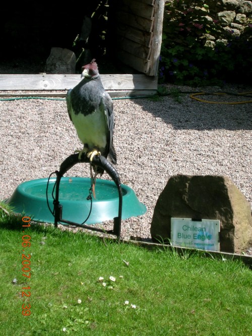 2007 Dunrobin Castle u kr