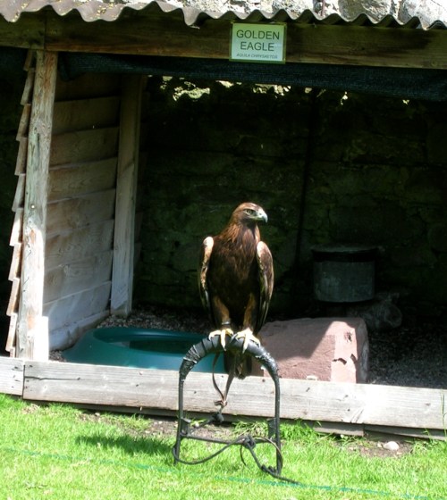 2007 Dunrobin Castle v kr