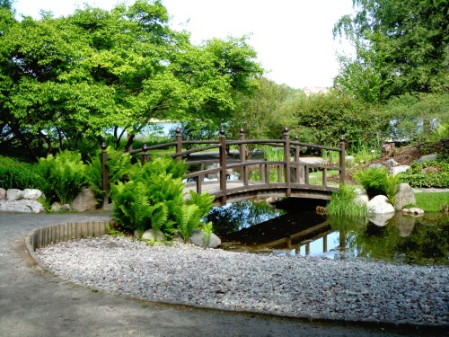 30 maj i Bergianska l kr