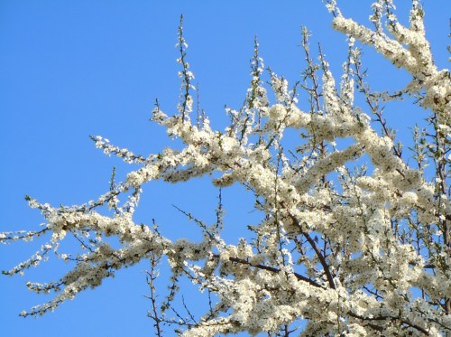 U Väsby norr om landstingshuset kr
