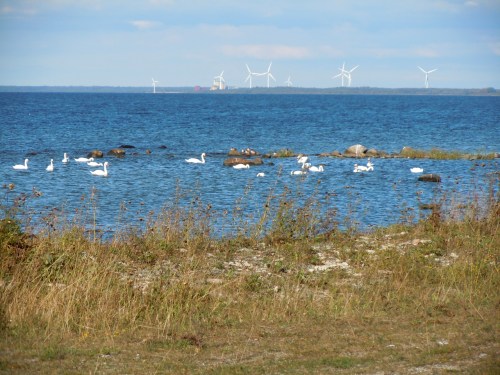 Klintehamn från Ekstakusten kr