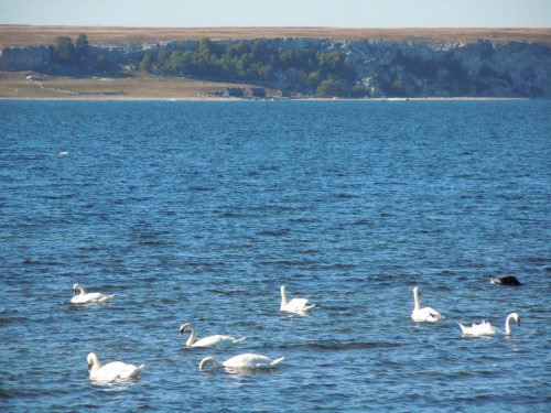 Lilla Karlsö från Ekstakusten