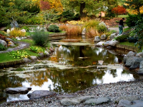 Japanska dammen i oktober kr