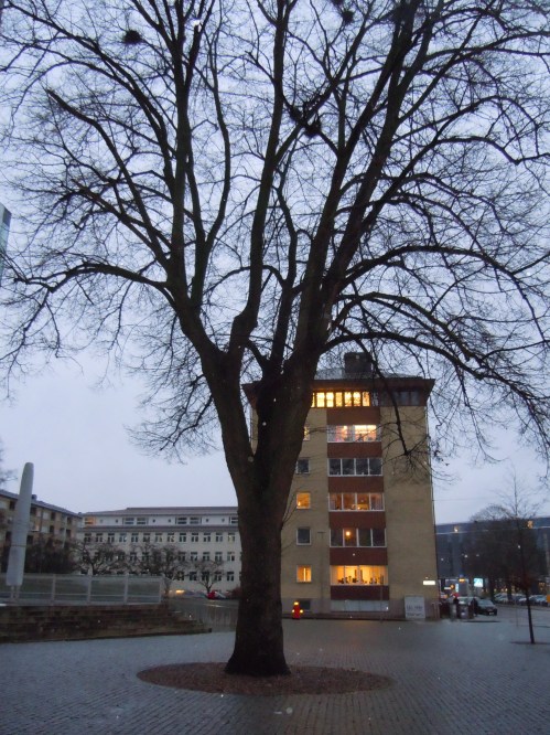 2012 november med Monica o Tollef i Uppsala