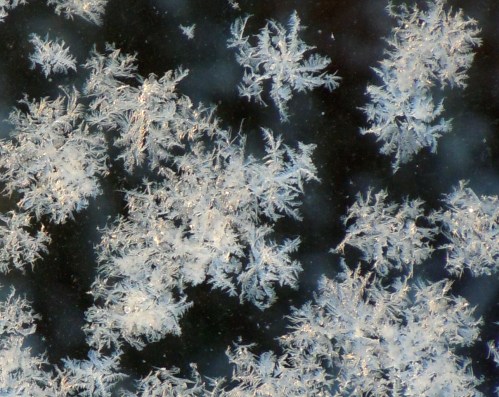 Vinter på balkongräcket