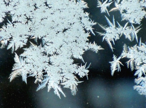 Vntern sovrumsfönstret b kr