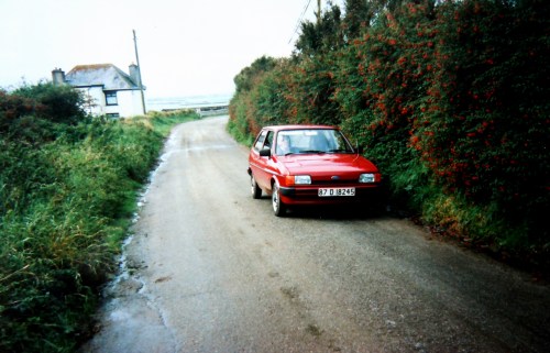 Irland Fuchsiahäck b kr