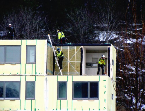 Ny kinesisk ask monteras b kr