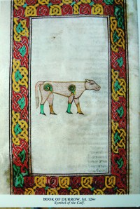 Book of Durrow calf kr