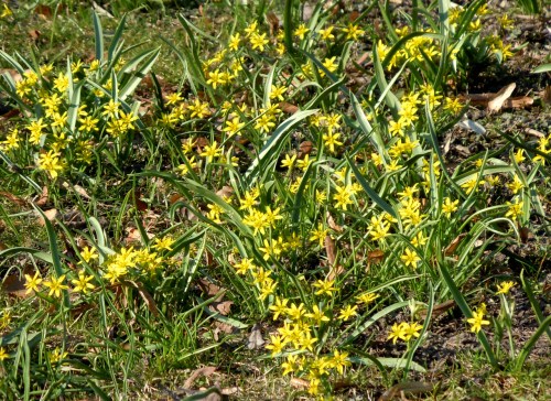 Örebro Södra Station kr