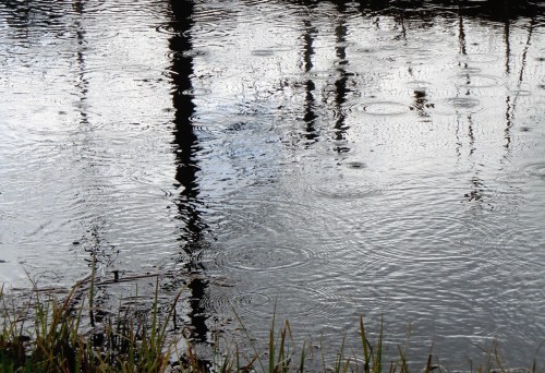 När regnet kom c kr