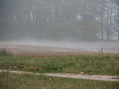 Älvor dansar över Linhttens kr