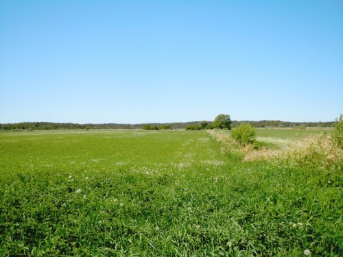 Fornborgen i Långmyren kr