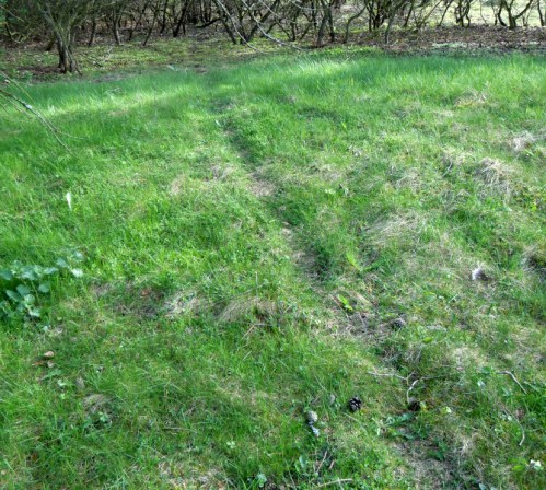 Kaninernas egen väg kr