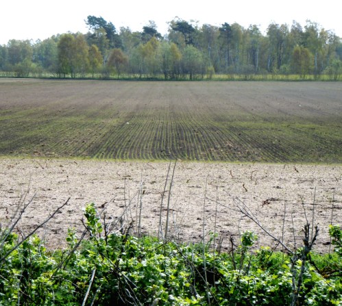 Littorinavallen börjar kr