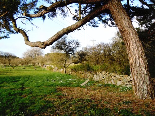 Slänggungan i tallen kr