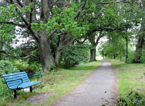Ekarna utmed Väsbyån kr