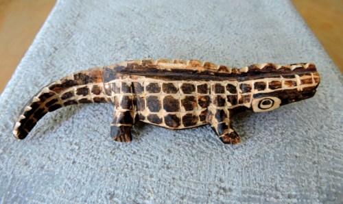 Alligator från Argentina kr