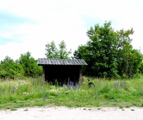 Är det här en hållplats för buss kr