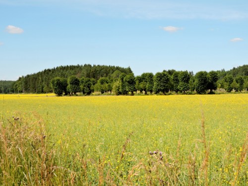 Därute ligger parken kr