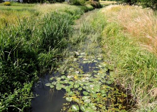 Väsbyån norrut från Runbyvägen kr