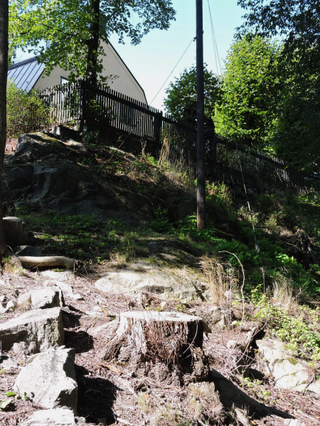 Bellevue branten från Paschens