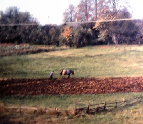 I Vilniustrakten b kr