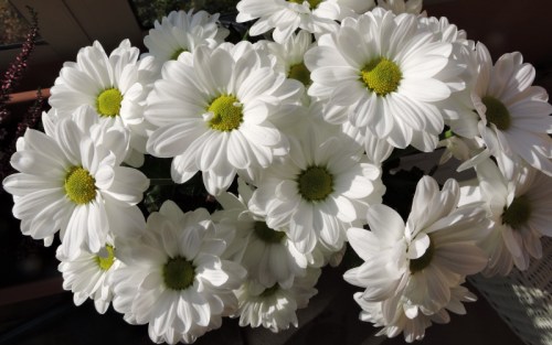 Välgörande vitt e kr