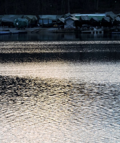 Bergianska Brunnsviken b kr