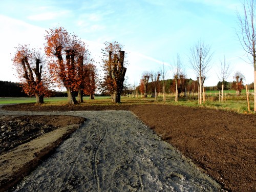 Nya grusade gångar och nysått kr