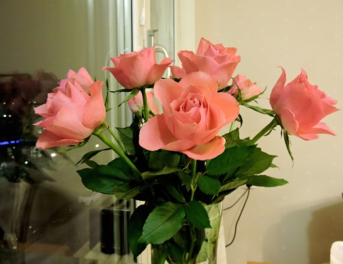 Mellandagsrosor b kr