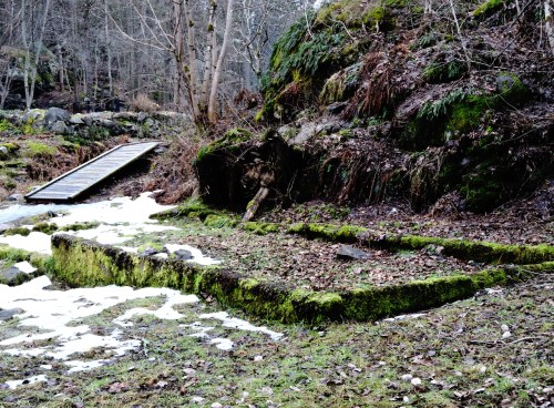 Nyfors hönshus och dass