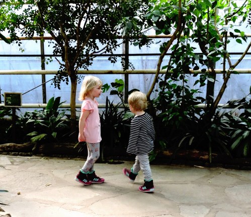 När är fjärilshuset bäst