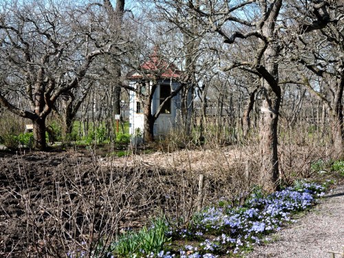 Skogaholms ännu sovande trädgård