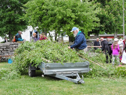 Björklöven till stången