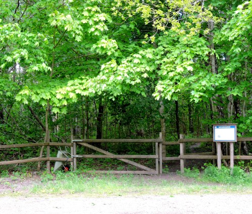 Vreta udd ingång - kopia