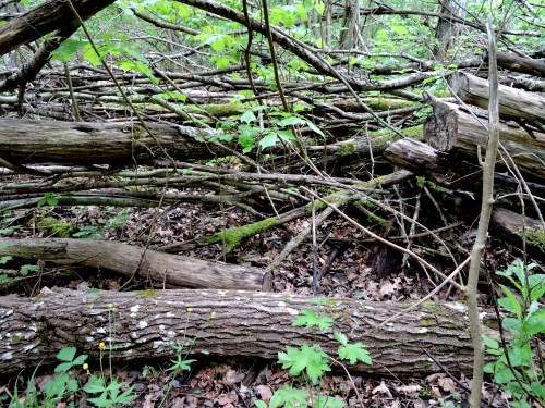 Vreta udd markmöblering