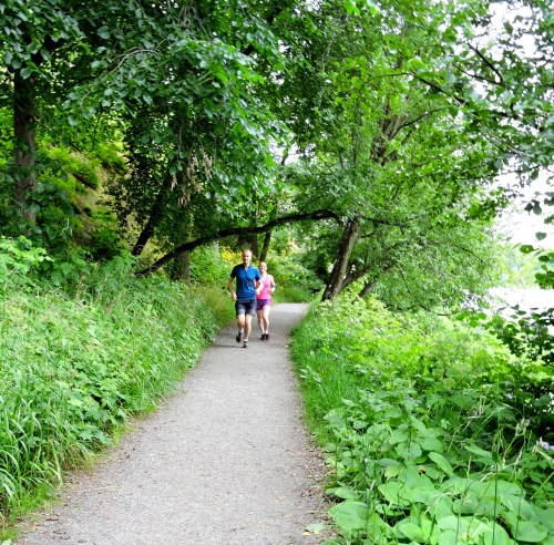 Bergianska Hälsans stig