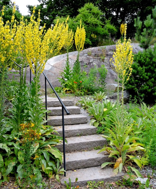 Bergianska Kungsljus lyser upp trappan