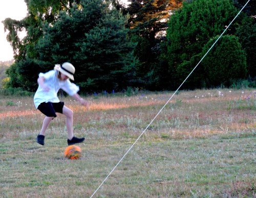 Gotland kvällsboll c